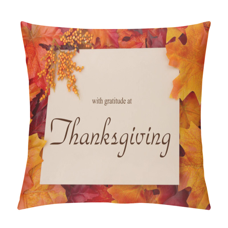 Personality  Happy Thanksgiving Message Pillow Covers