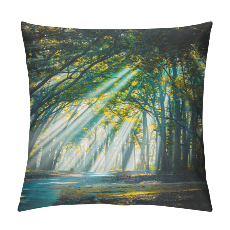 Personality  Road To Home. Sunrays With Mist Appearing Pillow Covers