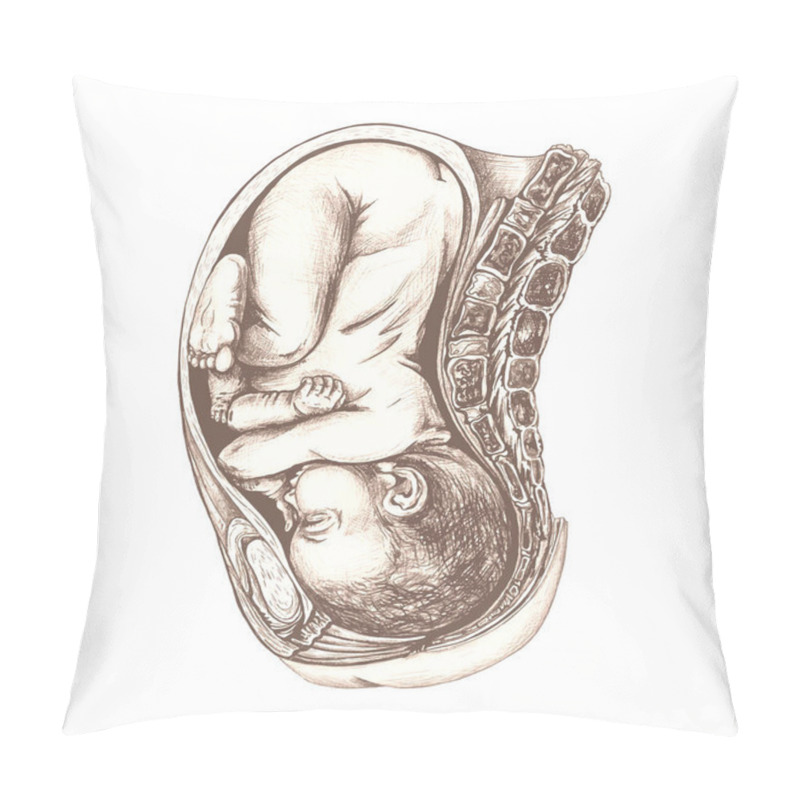 Personality  Anatomical Drawing Of A Baby In The Womb Anatomical Drawing Of A Baby In The Womb, Graphic Illustration In Brown, Hand Drawing, Detailed Image Of Organs Of A Pregnant Woman Pillow Covers