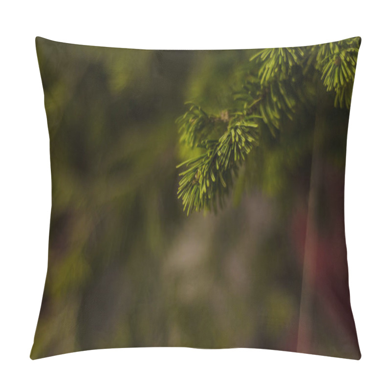 Personality  Trees And Bark Trunks. Beautiful And Interesting View Of Conifer Trees And Branches In The Afternoon. Pillow Covers