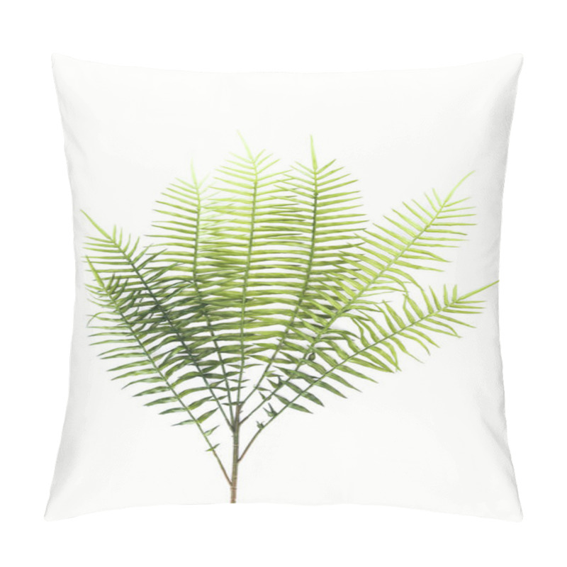 Personality  View From Above Of Beautiful Green Fern Branches Isolated On White, Minimalistic Concept Pillow Covers