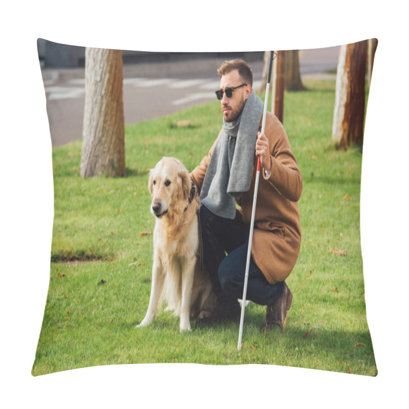 Personality  Blind Man With Walking Stick And Guide Dog On Lawn  Pillow Covers