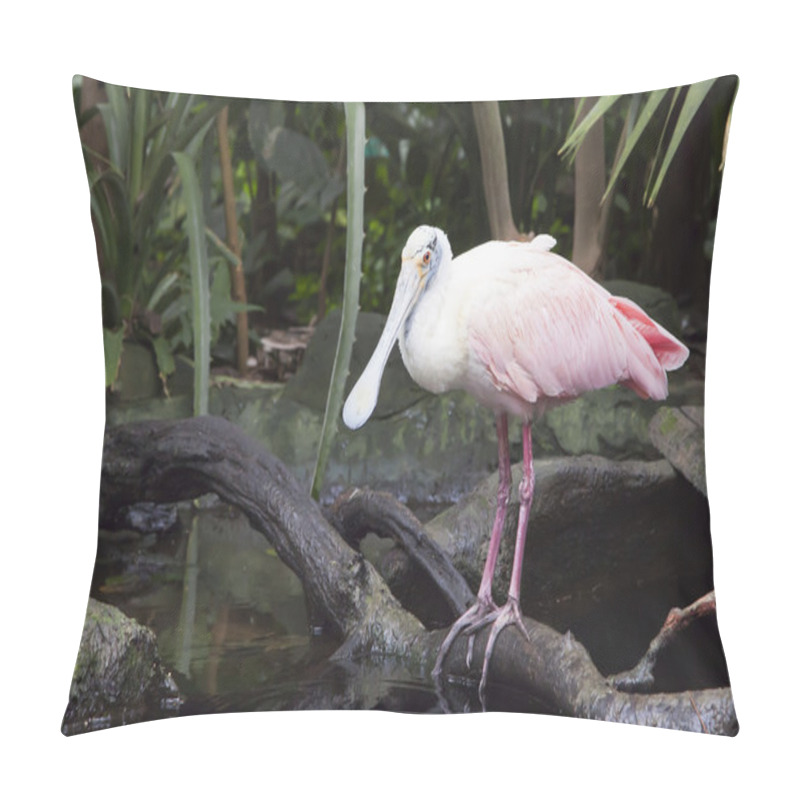 Personality  Roseate Spoonbill (Platalea Ajaja) Pillow Covers