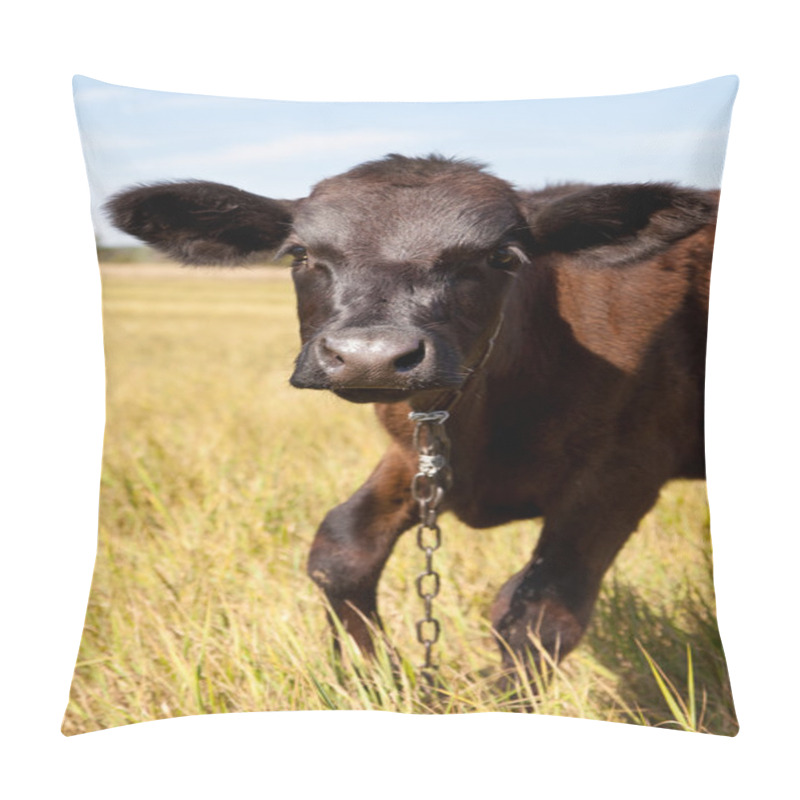 Personality  Cow Pillow Covers