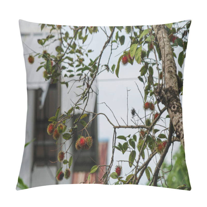 Personality  Rambutan Is Starting To Bear Fruit, Background Of The Sky Pillow Covers