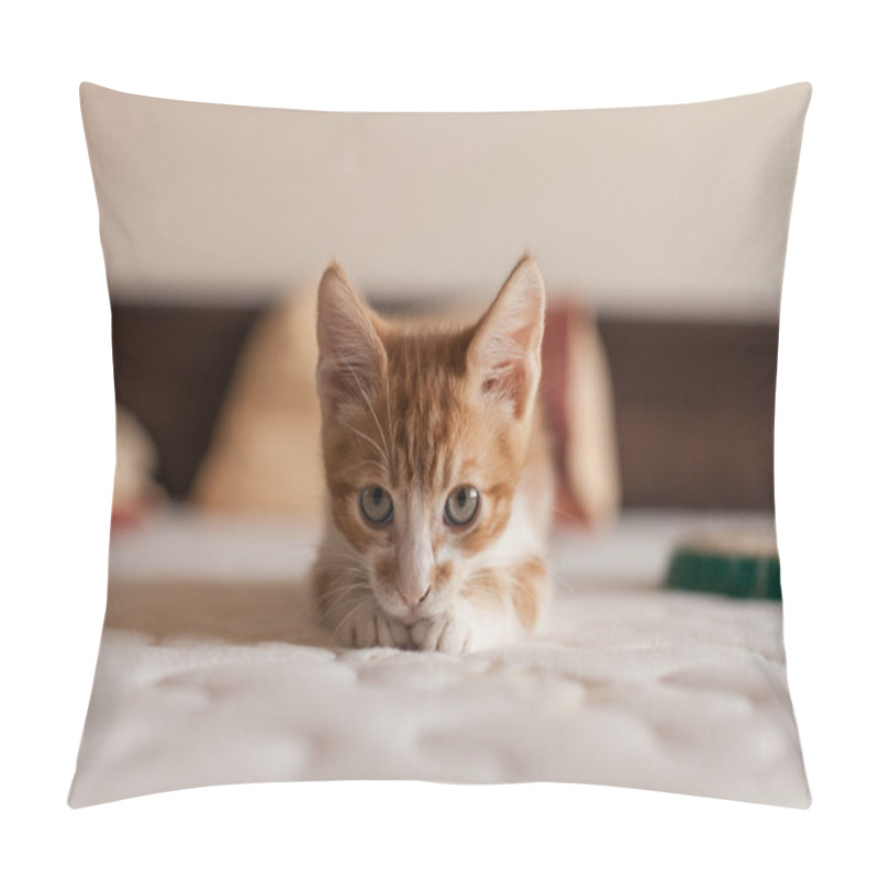 Personality  Cute And Small Redhead Kitty Pillow Covers