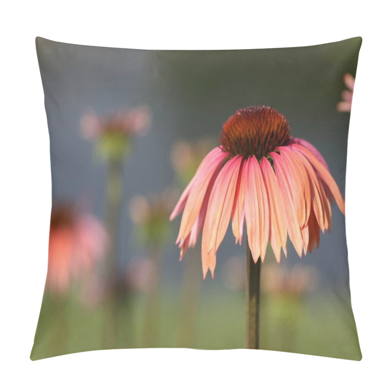 Personality  Echinacea Hybrid Sundown Orange Sun Hat Pillow Covers