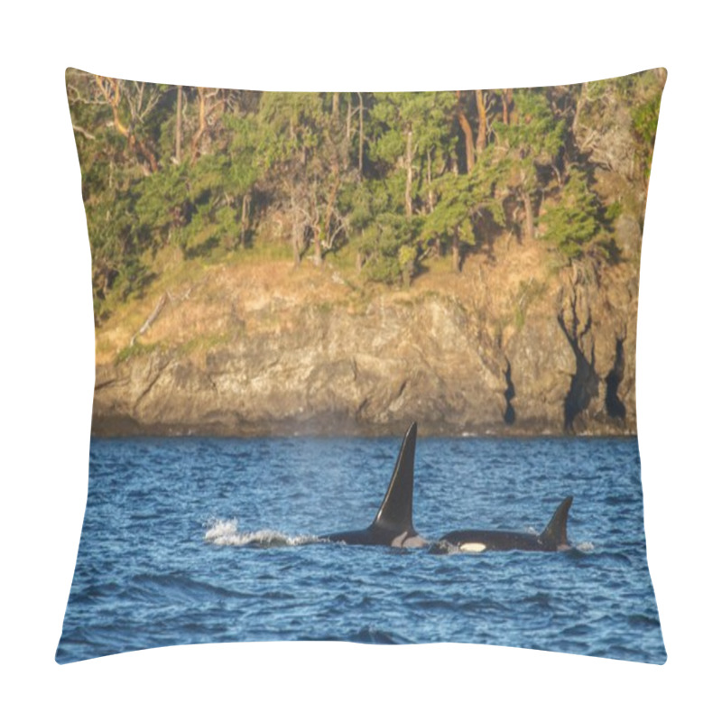 Personality  Orca With Baby During Beautiful Sunset Pillow Covers