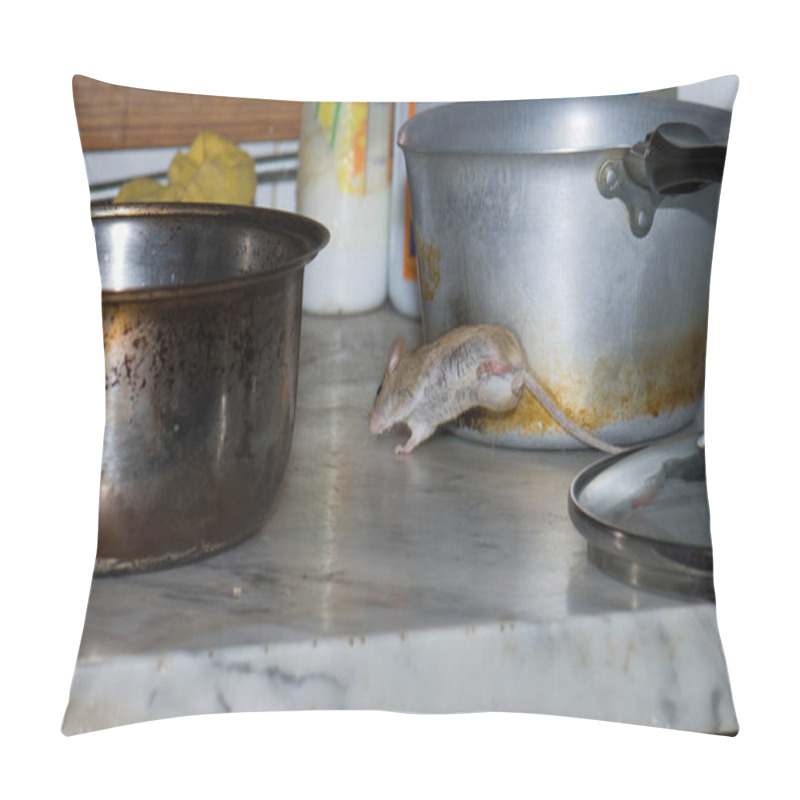 Personality  House Mouse Mus Musculus Jumping In A Kitchen. Pillow Covers