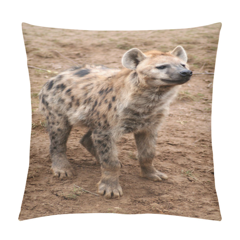 Personality  Spotted Hyena Pillow Covers