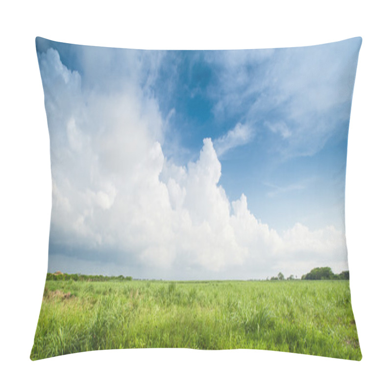 Personality  Caribbean Sugar Cane Plantations In Dominican Respublic Pillow Covers