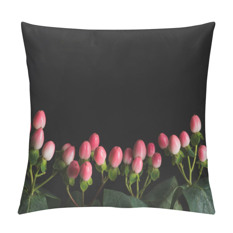 Personality  Close Up View Of Plants With Pink Hypericum Berries Isolated On Black Pillow Covers