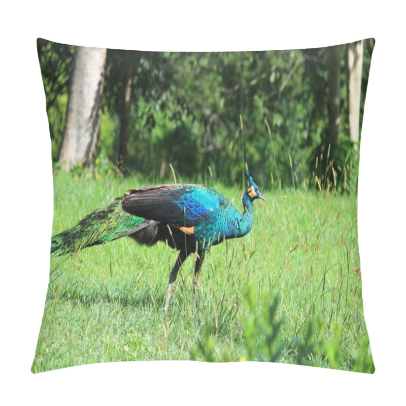 Personality  Thailand Peacock Pillow Covers