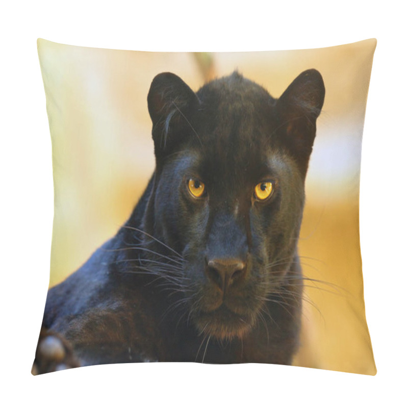 Personality  The Leopard (Panthera Pardus) Portrait. Melanistic Leopards Are Also Called Black Panthers. Pillow Covers