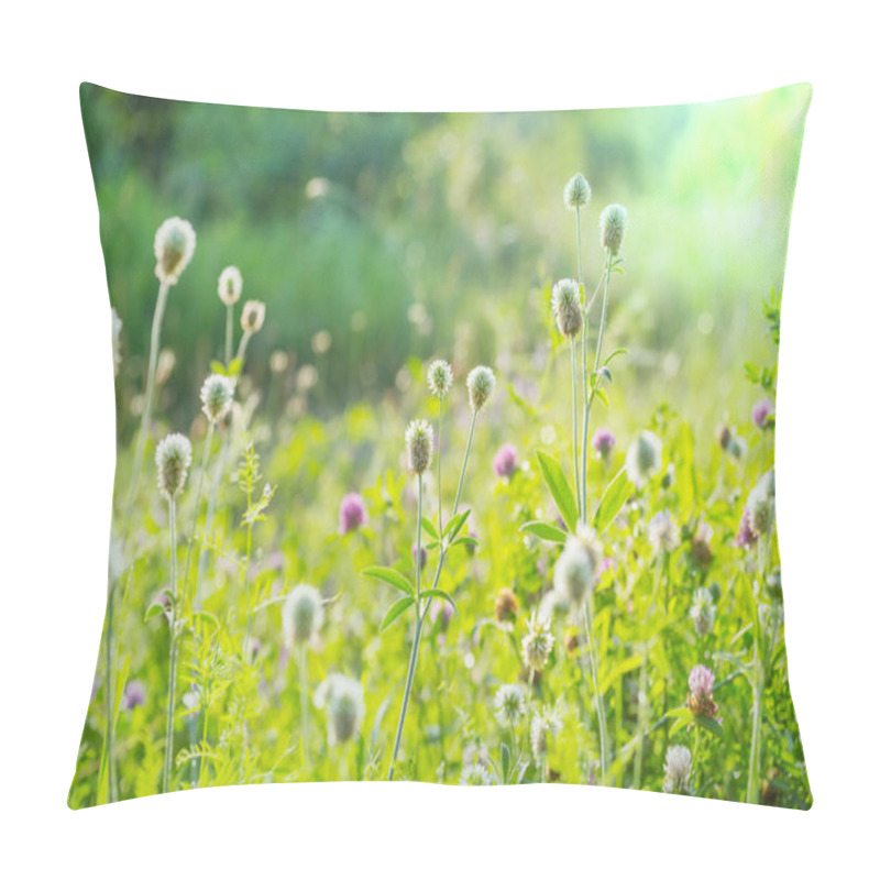 Personality  Sunny Day On The Flowers Meadow. Beautiful Natural Background. Pillow Covers