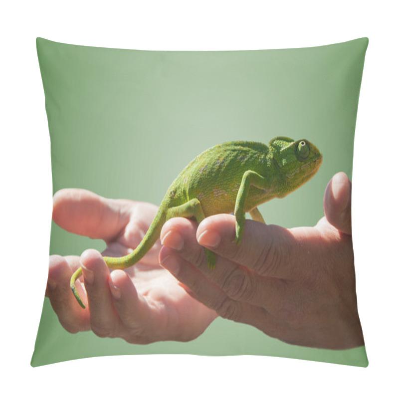 Personality  Chameleon In Some Hands Pillow Covers