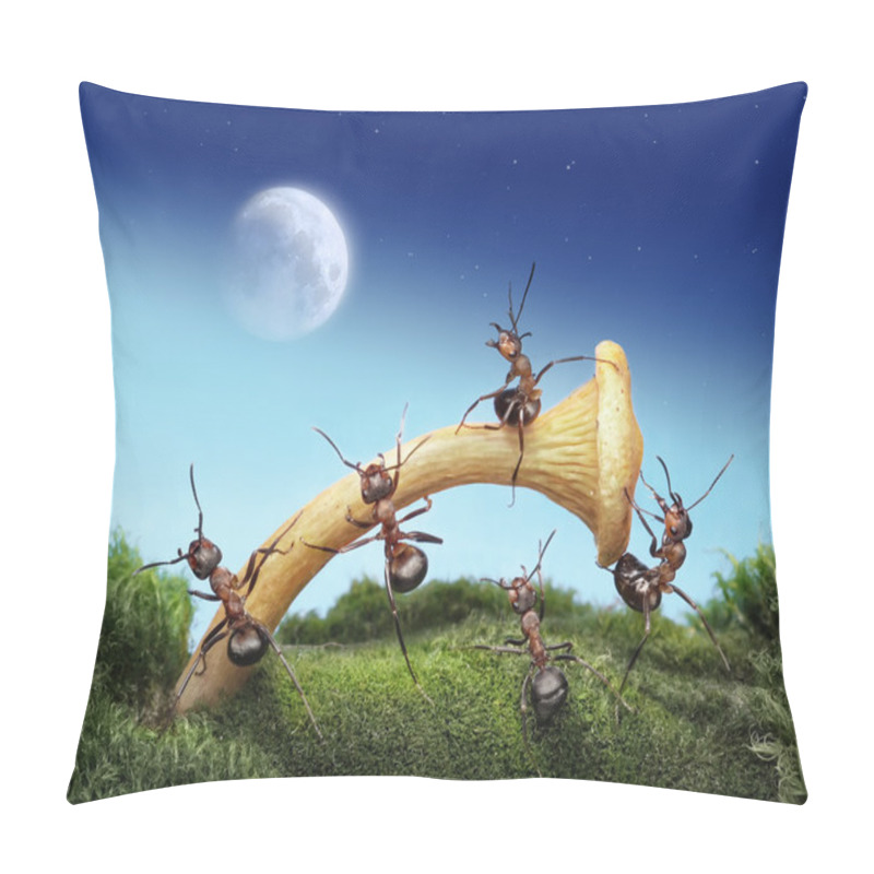 Personality  Team Of Ants Launches Spaceman To The Moon, Teamwork Pillow Covers