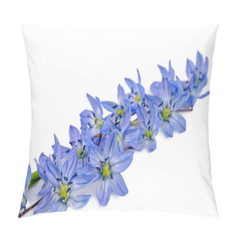 Personality  First Bluebell Flowers Pillow Covers