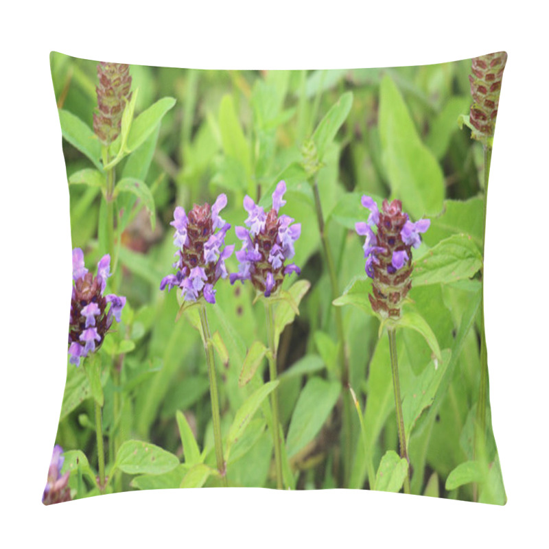 Personality  Prunella Vulgaris Grows Wild Among Grasses In Summer Pillow Covers