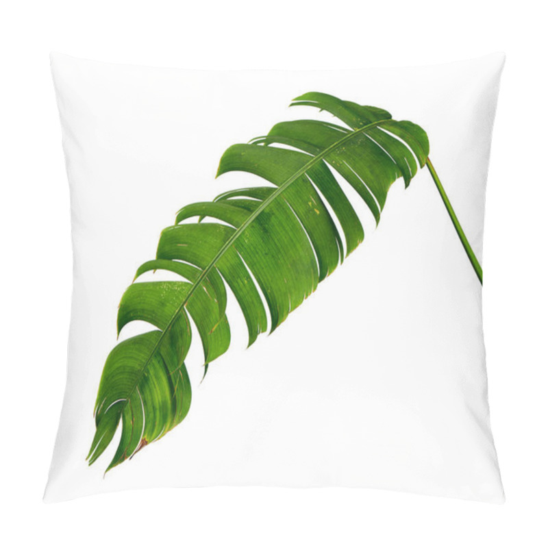 Personality  Heliconia Chartacea Leaves,Tropical Leaf, Bird Of Paradise Foliage Isolated On White Background, With Clipping Path                                Pillow Covers