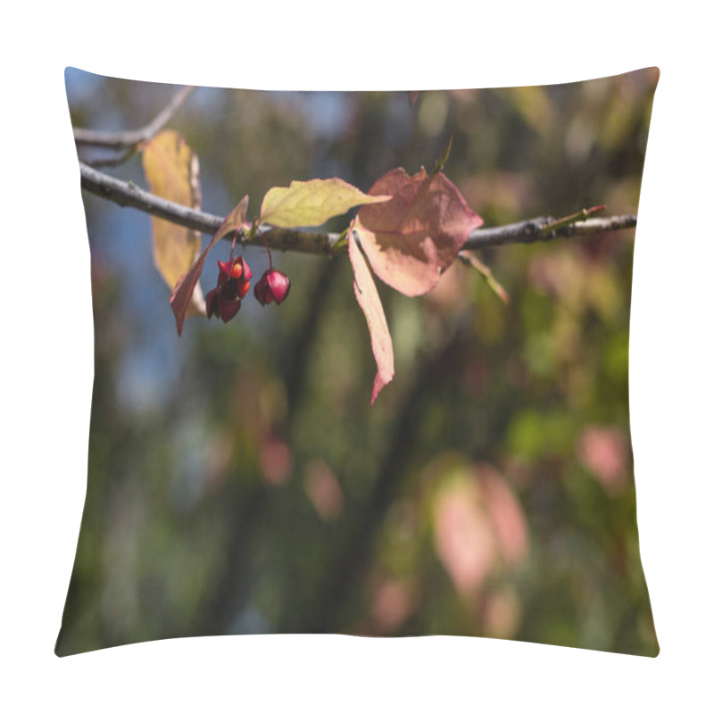 Personality  Close Up View Of Yellow Leaves And Berries On Tree Branch Pillow Covers