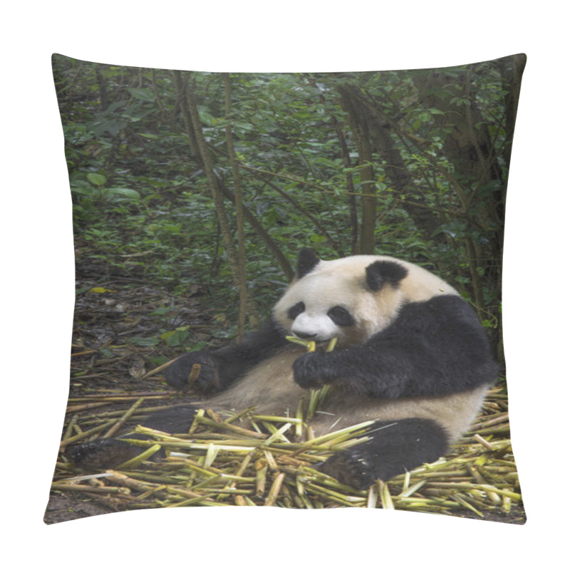 Personality  Big Panda Sitting Pillow Covers