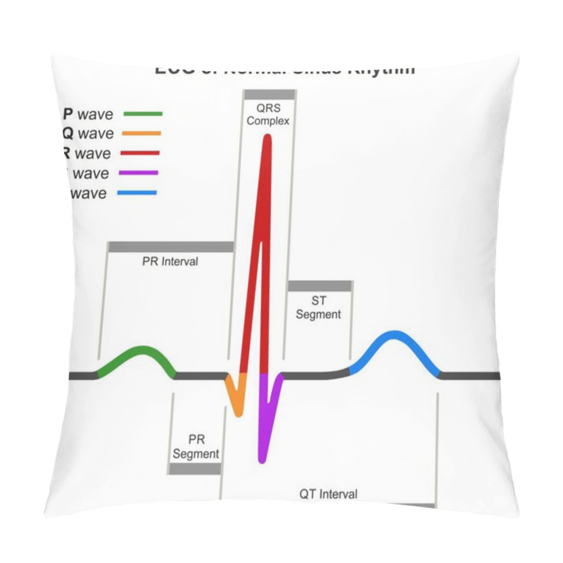 Personality  ECG Of Normal Sinus Rhythm Infographic Diagram Showing Normal Heart Beat Wave Including Intervals Segments And Complex For Medical Science Education And Health Care Pillow Covers