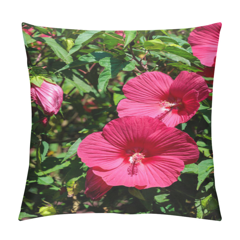 Personality  Red Hibiscus Moscheutos Flowers Blooming In Summer In The Garden. Pillow Covers