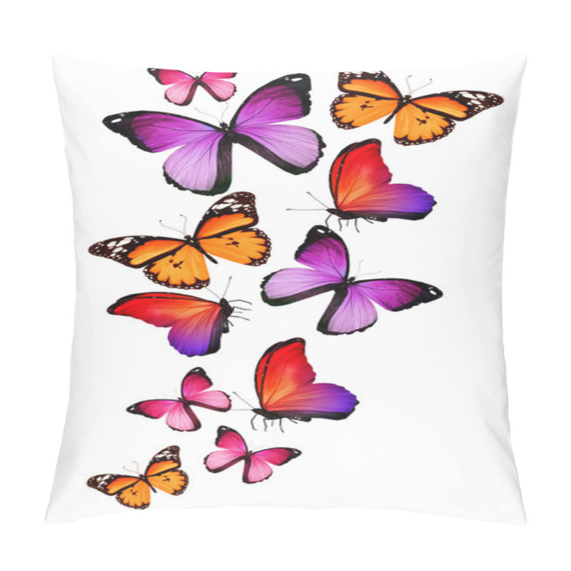 Personality  Many Different Butterflies, Isolated On White Background Pillow Covers