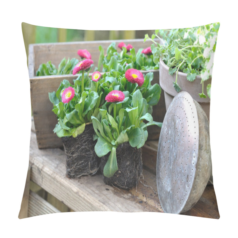 Personality  Daisies Seedlings Pillow Covers