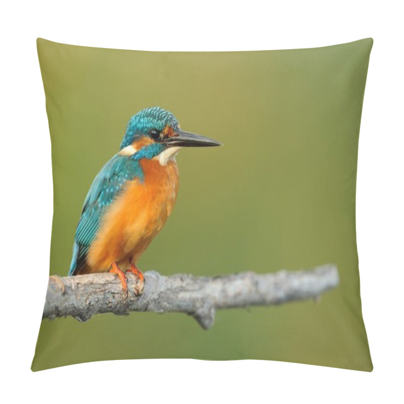 Personality  Kingfisher (Alcedo Atthis) Pillow Covers