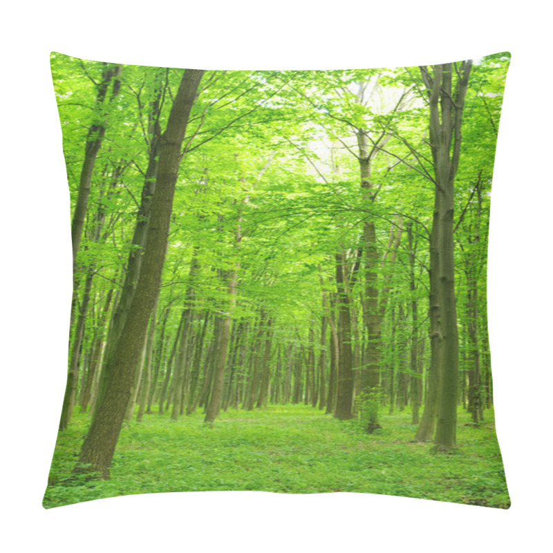 Personality  Trees In A Green Forest In Spring Pillow Covers