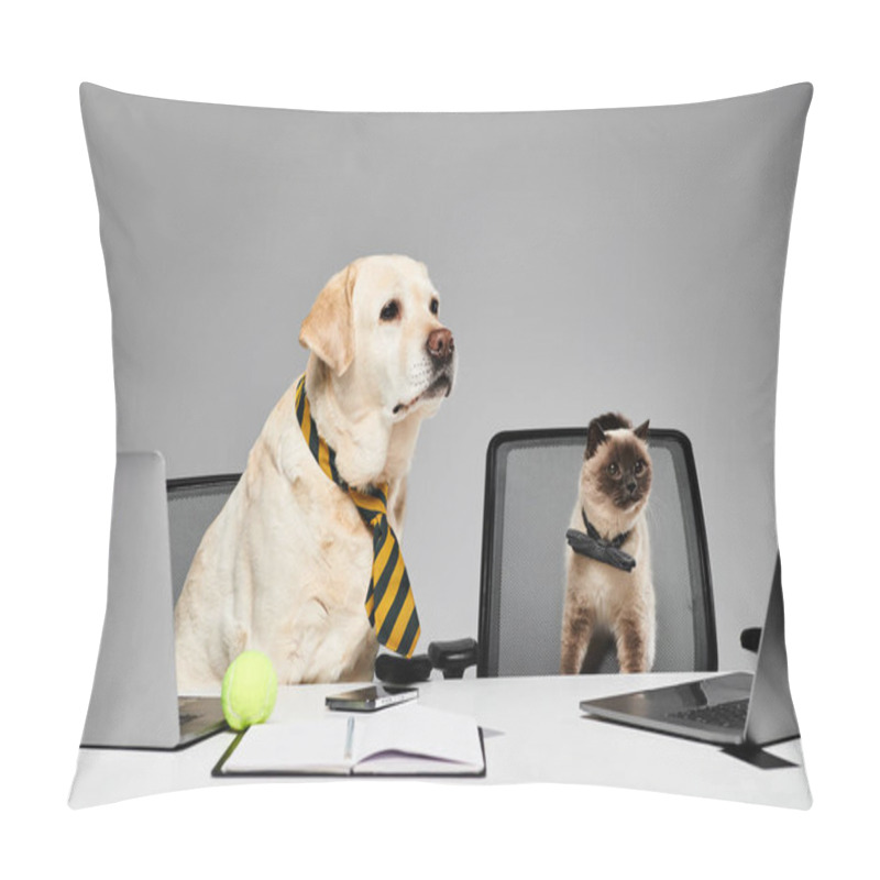 Personality  A Dog And A Cat Sit At A Desk In A Studio Setting, Appearing To Work Together On A Project. Pillow Covers