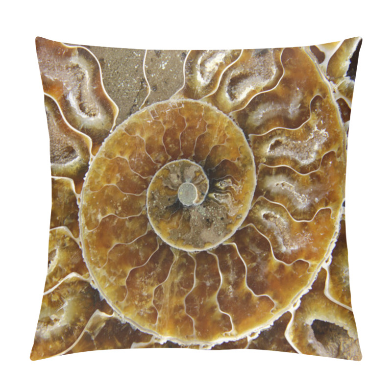 Personality  Fossil Macro Closeup Pillow Covers