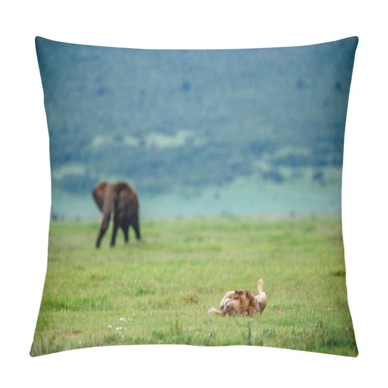 Personality  Male Lion And Elephant On Field Pillow Covers