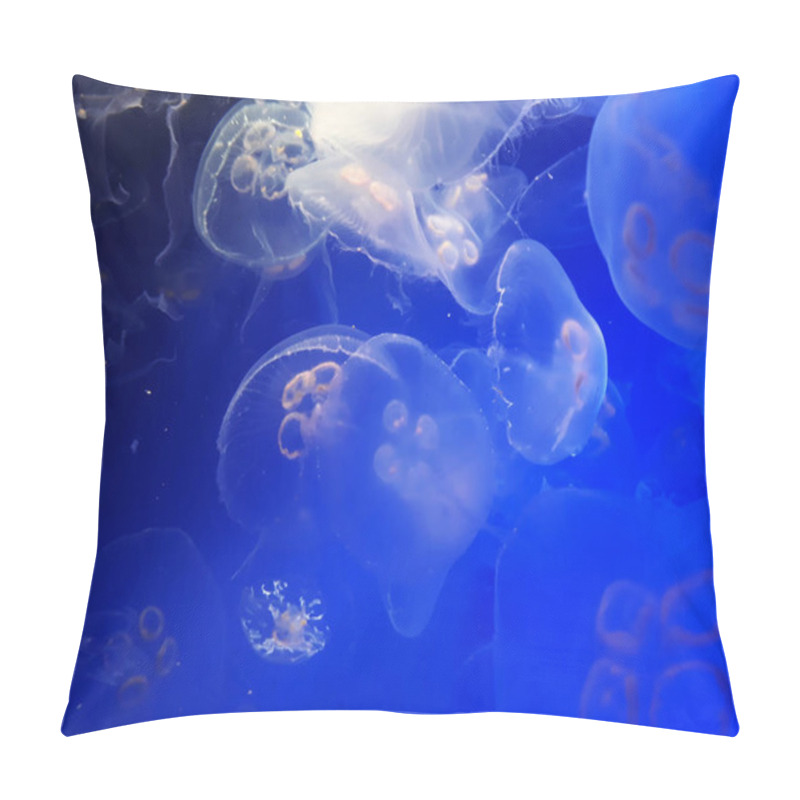 Personality  Many Transparent Jellyfish In The Aquarium Pillow Covers