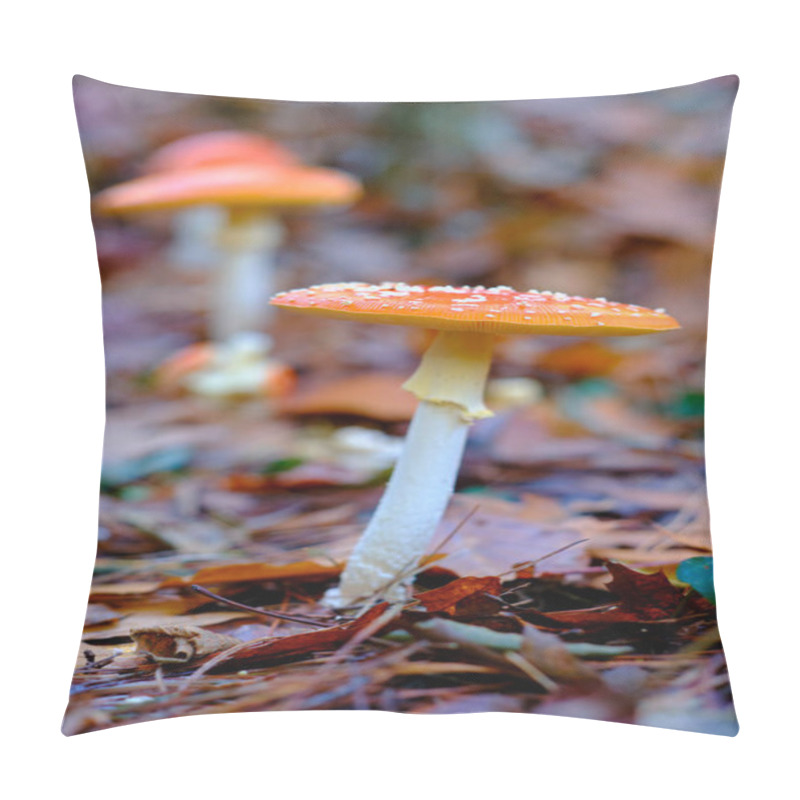 Personality  Close-up Of Two Amanita Muscaria Or Fly Agaric Mushrooms With Orange Caps And White Spots, Growing Among Fallen Leaves In An Oak Forest In Ucieda, Cabuerniga Valley, Cantabria, Spain. Pillow Covers