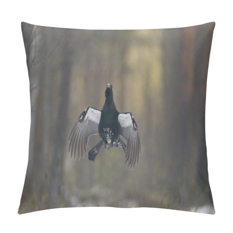 Personality  Capercaillie, Tetrao Urogallus Pillow Covers