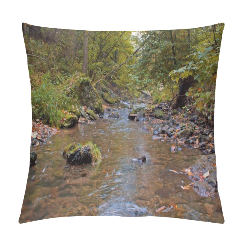 Personality  Autumn Stream In The Forest In Sunny Day Pillow Covers