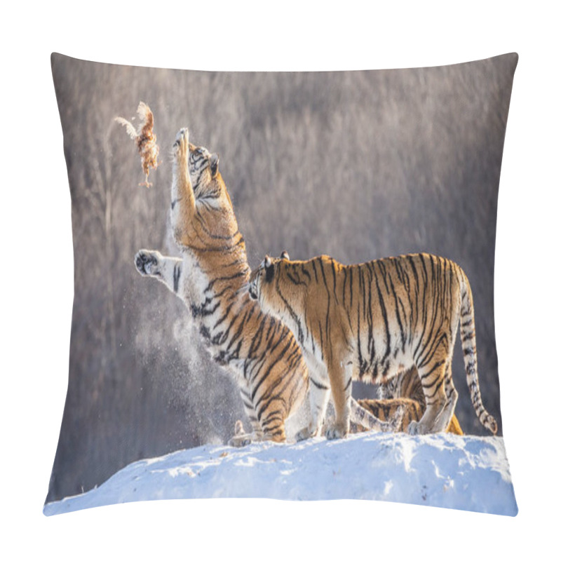 Personality  Siberian Tigers In Winter Glade Jumping And Catching Fowl Prey, Siberian Tiger Park, Hengdaohezi Park, Mudanjiang Province, Harbin, China.  Pillow Covers