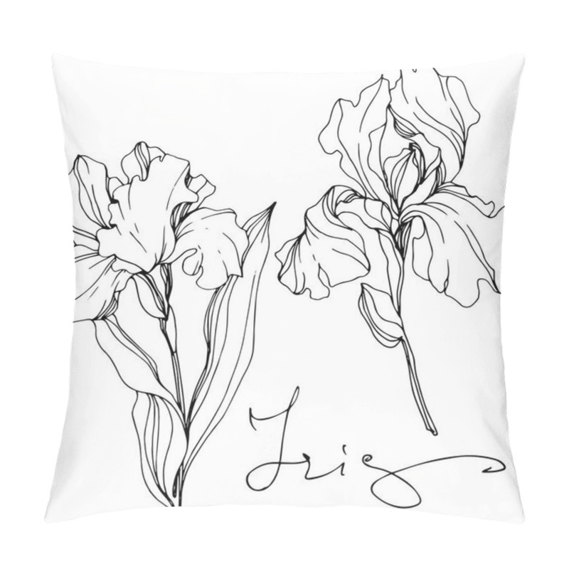 Personality  Vector Irises Isolated On White. Black And White Engraved Ink Art With 'iris' Lettering Pillow Covers