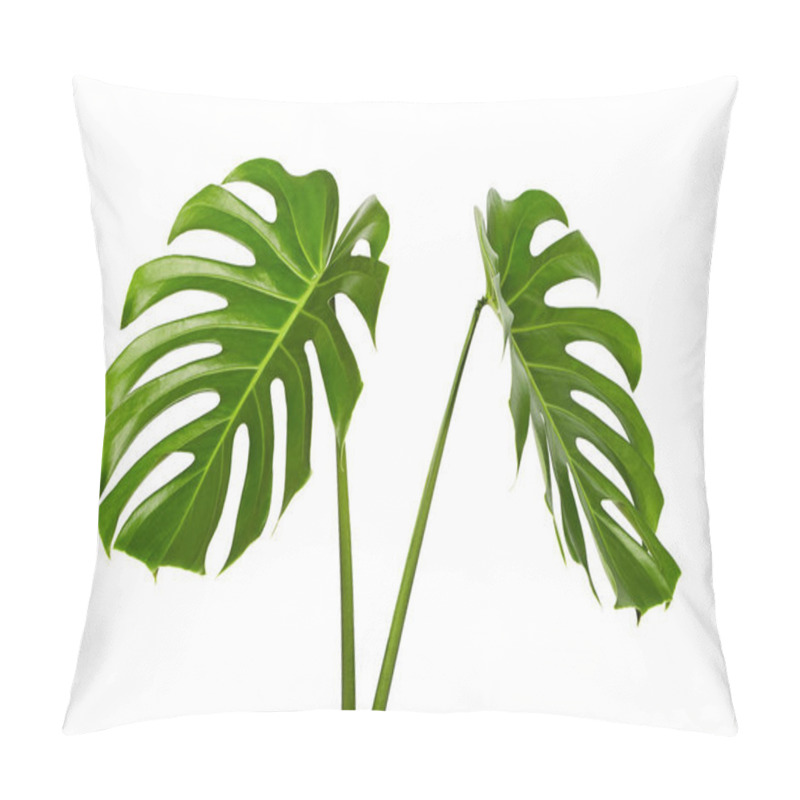 Personality  Monstera Deliciosa Leaf Or Swiss Cheese Plant, Tropical Foliage Isolated On White Background, With Clipping Path Pillow Covers