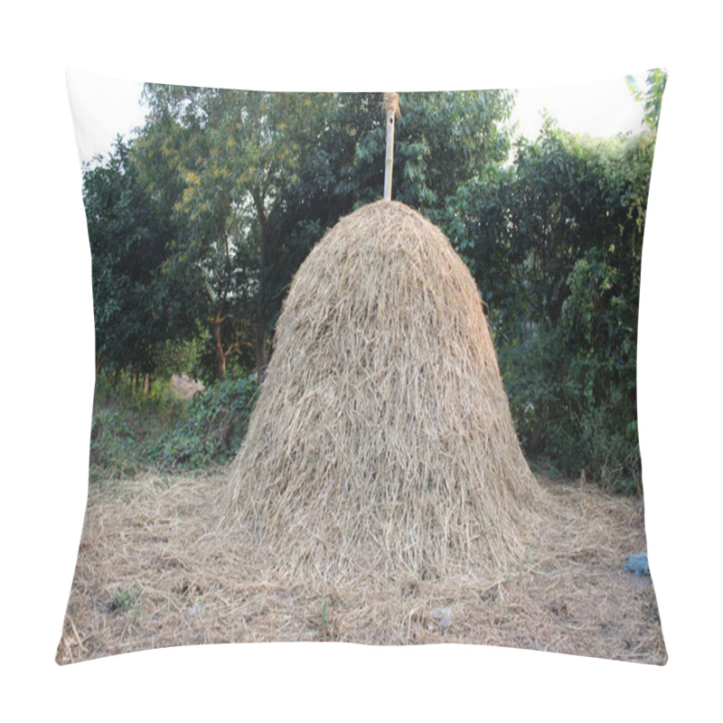 Personality  Traditional Straw Stacks Of Rural Bengal Pillow Covers