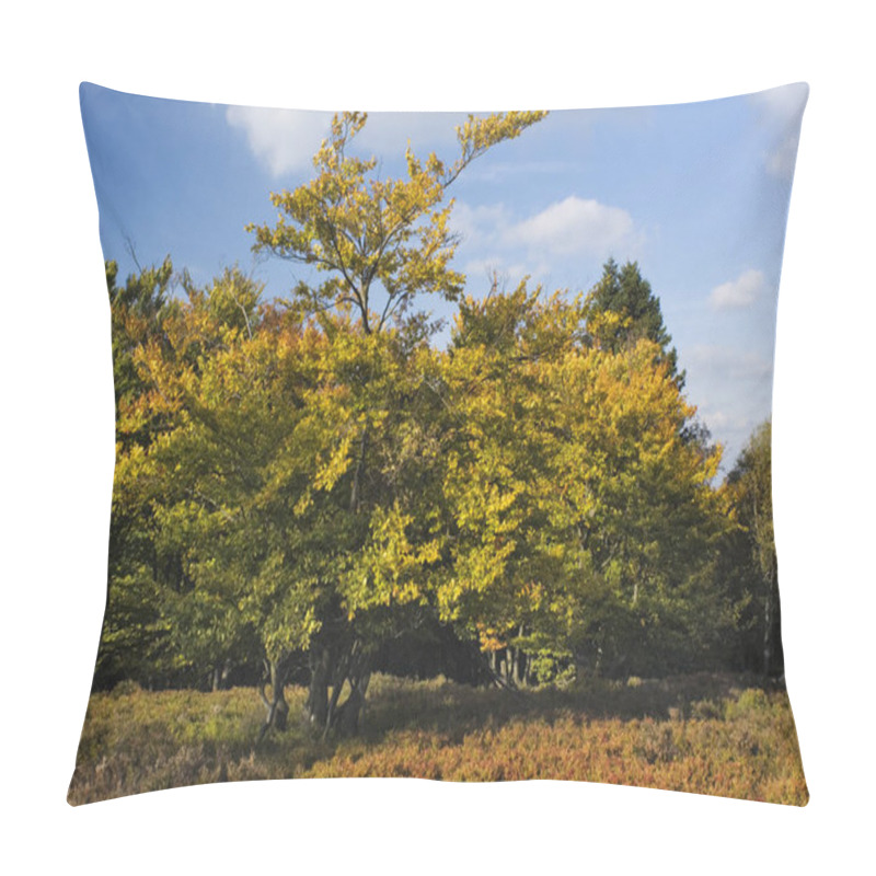 Personality  Autumn Foliage, Fall Season Leaves Pillow Covers