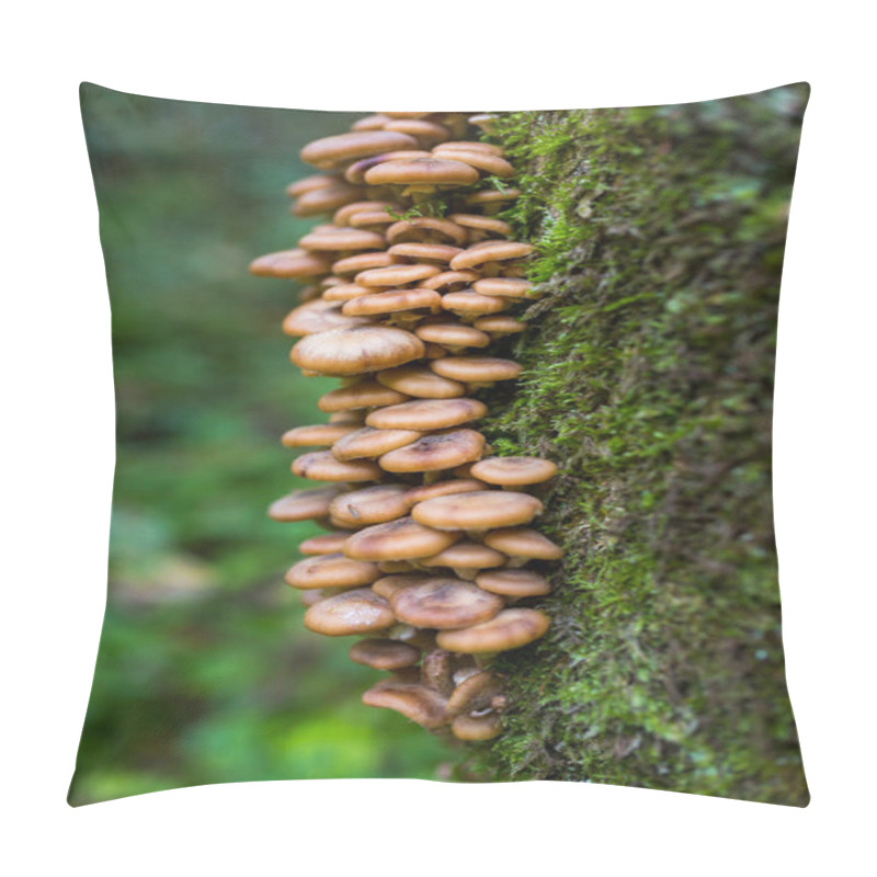 Personality  Honey Mushrooms Cluster Pillow Covers