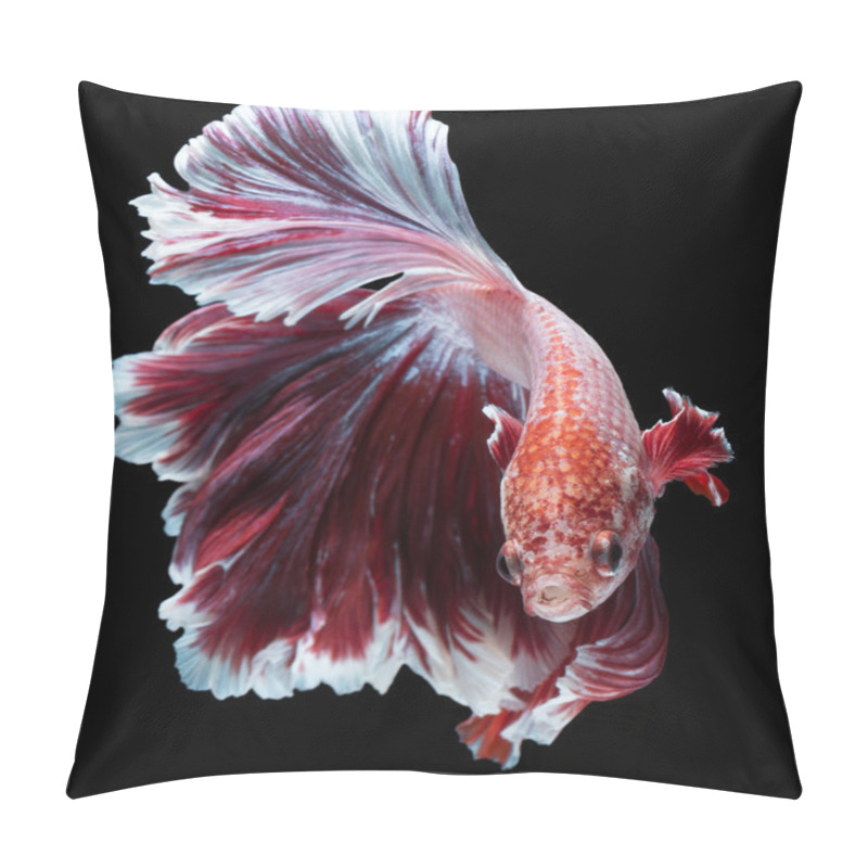 Personality  Betta Fish, Siamese Fighting Fish Pillow Covers