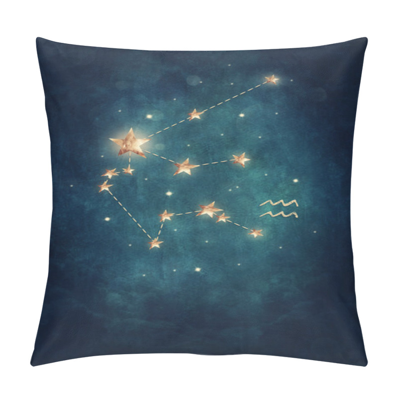 Personality  Aquarius Astrological Sign Pillow Covers