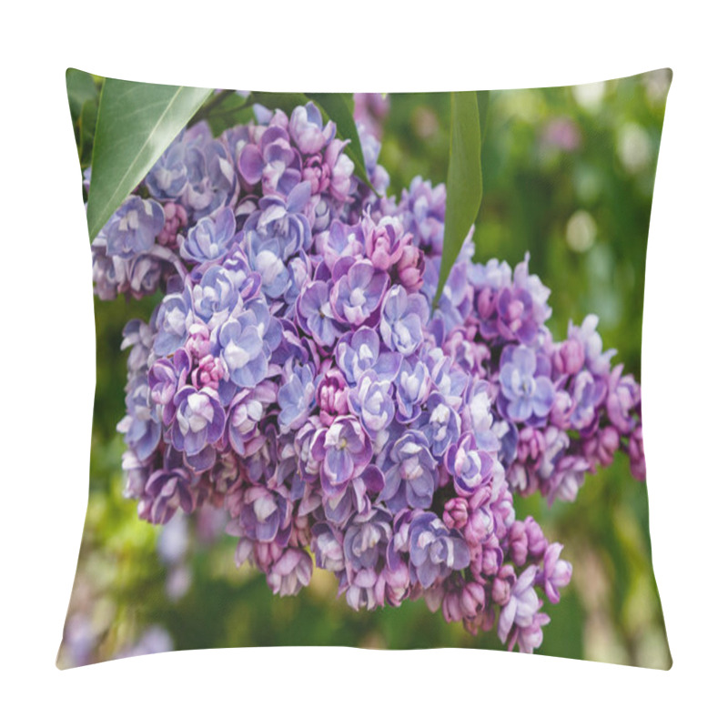 Personality  Lilac Branches On The Background Of The Park Or Garden. Spring Branches Of Blossoming Lilac Pillow Covers