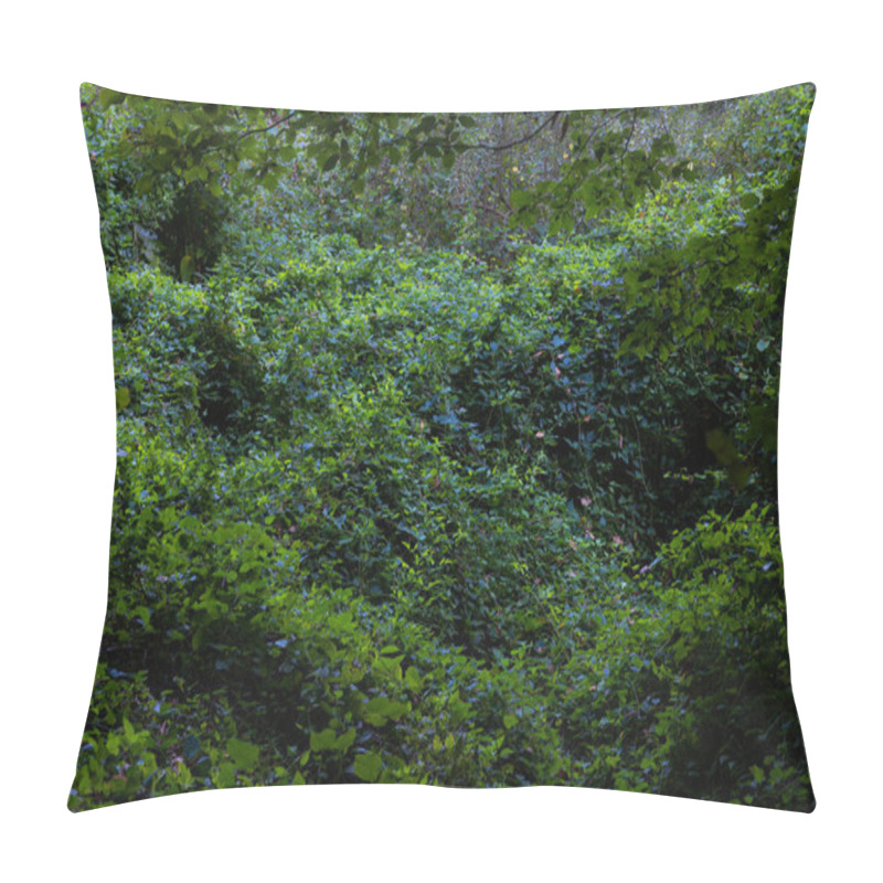 Personality  Lush Forest View In Full Frame Shot. Nature Or Carbon Net Zero Background Photo. Green Leaves. Earth Day Concept Photo. Pillow Covers