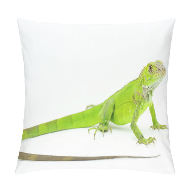 Personality  A \iguana (Iguana Iguana) Is Sunbathing. Pillow Covers